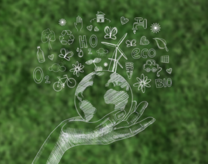 Test wiki usuario autor