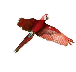 Paisajes sostenibles