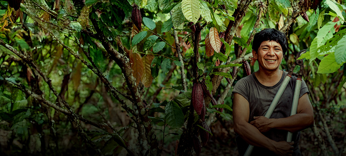 hero-amazonia