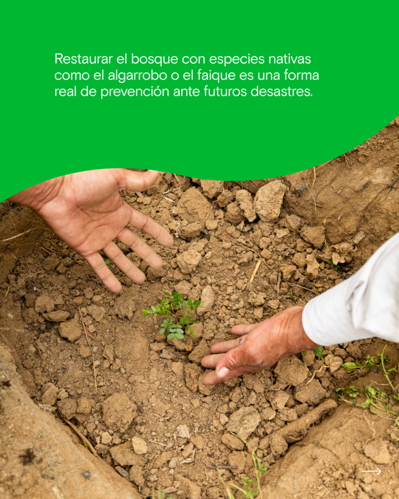 Carrusel Fenomeno del Niño-05