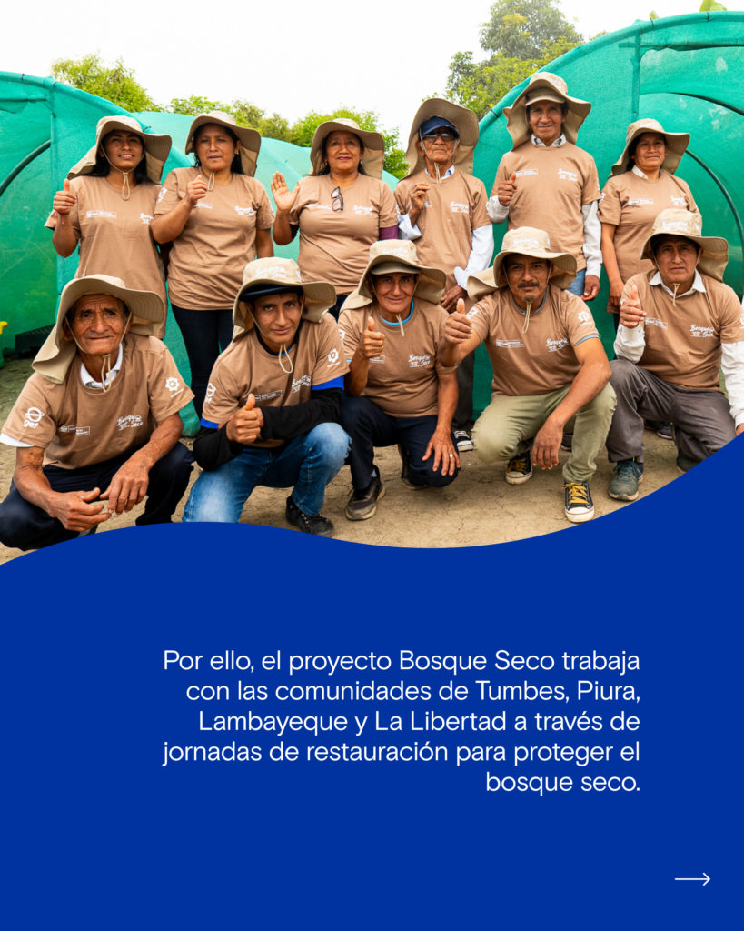 Carrusel Fenomeno del Niño-06