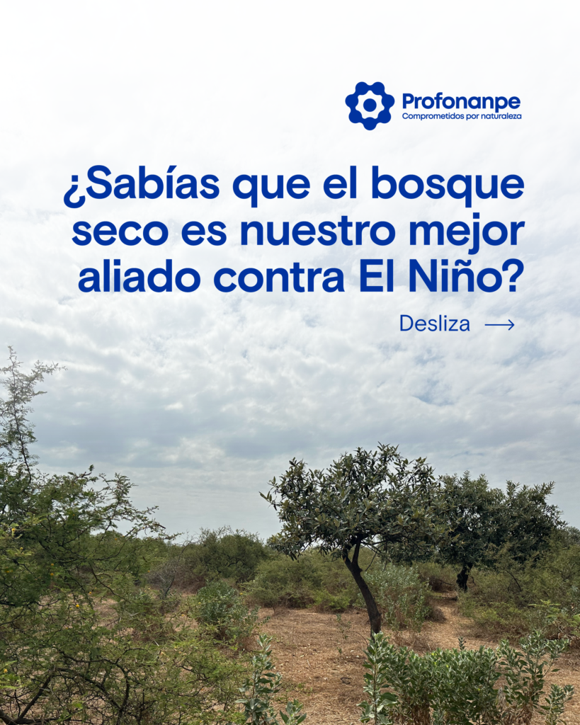 Carrusel Fenomeno del Niño_1