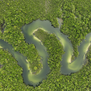 El Río Amazonas: Las venas de agua que bombean vida al planeta