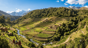 Armonía entre el hombre y la tierra