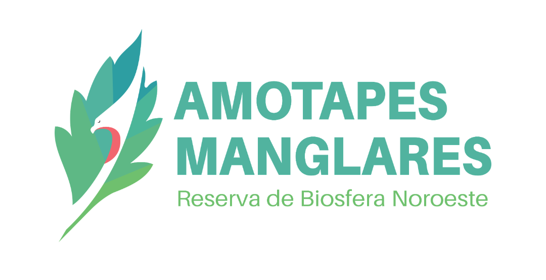 LOGODEAMOTAPES