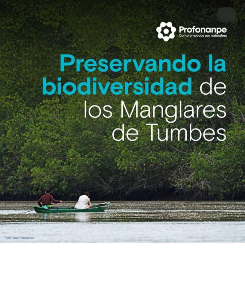 Manglares1
