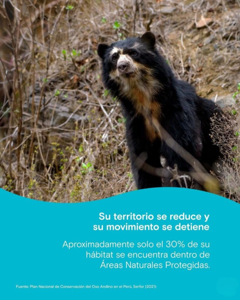 Oso4