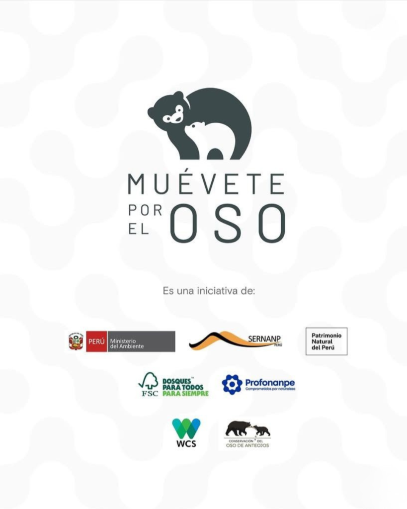 Oso6