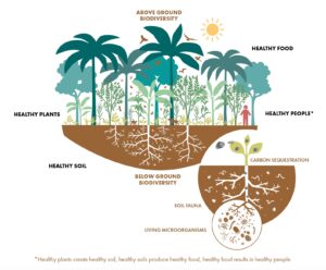 Equilibrio entre producción y conservación