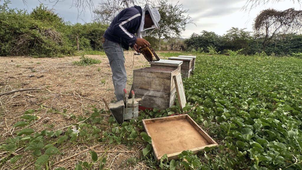 Saberes locales para el manejo del Bosque Seco