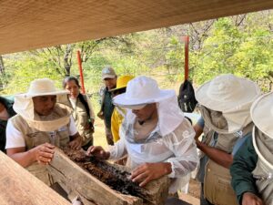 Escuelas de Campo: aprender para conservar el bosque seco