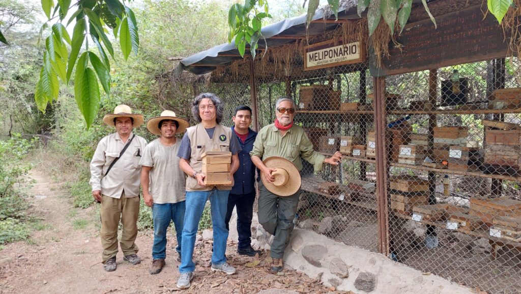 Del meliponario a los bionegocios: una experiencia para conservar el bosque seco desde Chaparrí